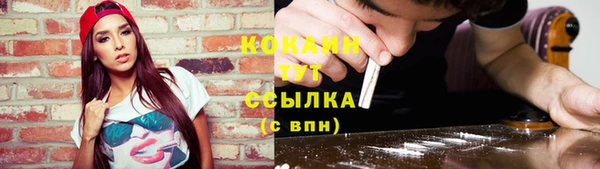 ECSTASY Магас
