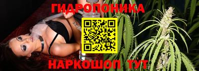 крисы Апшеронск