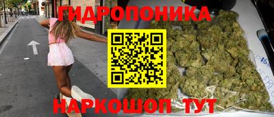 крисы Апшеронск