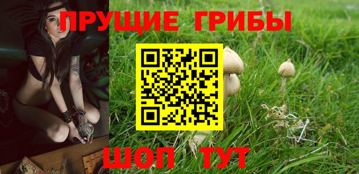 Псилоцибиновые грибы прущие грибы Батайск