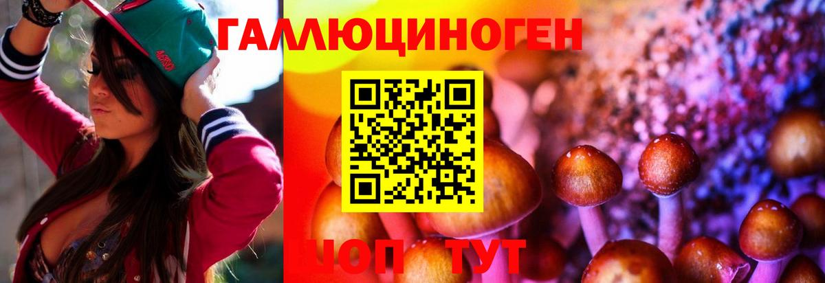 Батайск  Галлюциногенные грибы GOLDEN TEACHER  Вход с VPN 